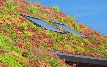 Manaccan living roof systems